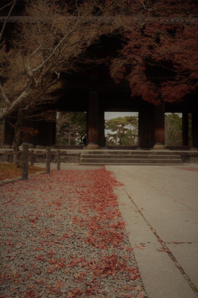 南禅寺のもみじ　~秋　発ちぬ　四～