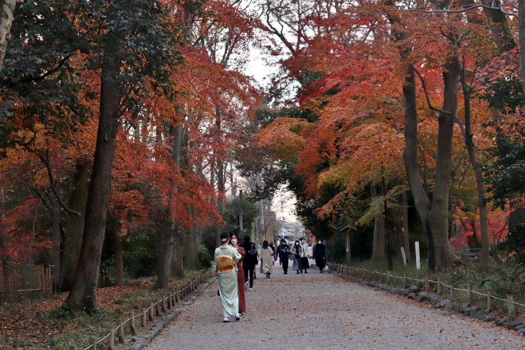 秋　発ちぬ　壱　～京都　糺の森～