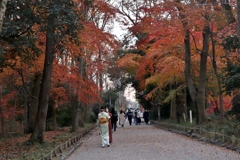 秋　発ちぬ　壱　～京都　糺の森～