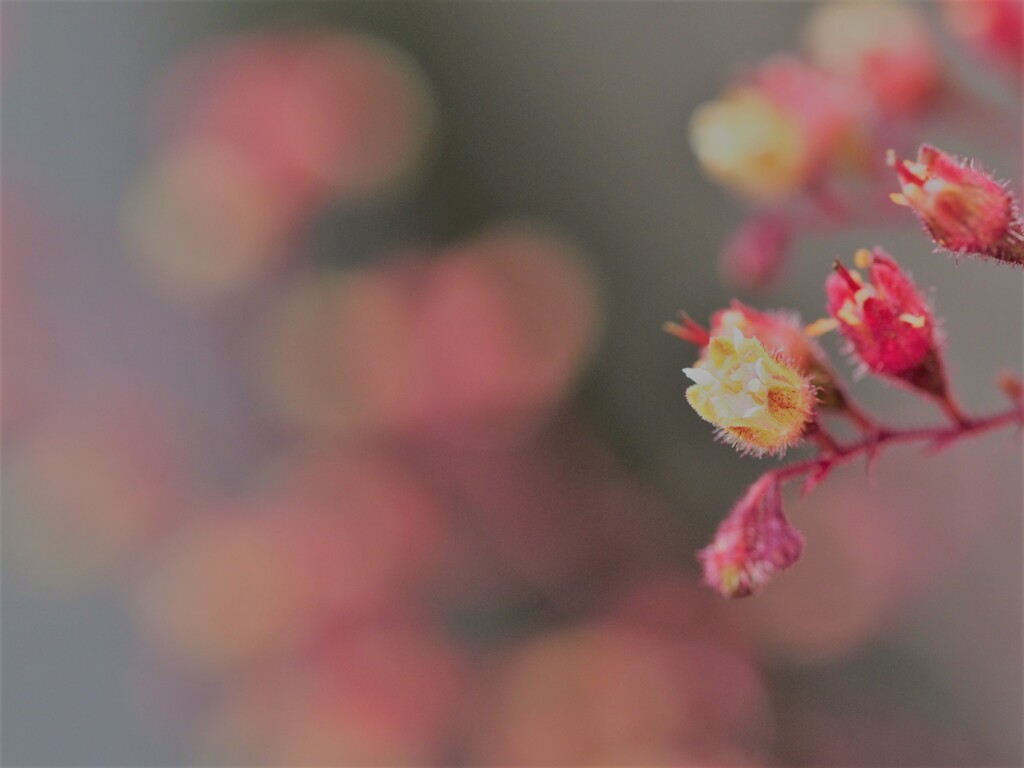 雨の日は