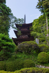 大法寺 三重塔(見返りの塔) ②