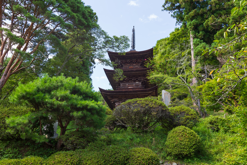 大法寺 三重塔(見返りの塔) ①