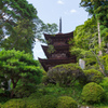 大法寺 三重塔(見返りの塔) ①