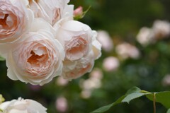 男性が多い写真業界で女性は活躍できるのか？