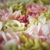flower bouquet