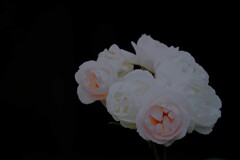 rose’s bouquet