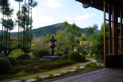 借景と溶け込む庭園