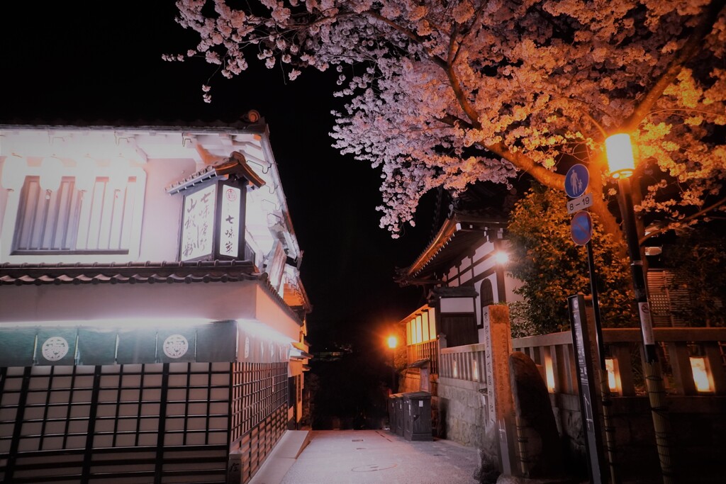 清水坂から産寧坂へ曲がる角の夜桜