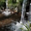 湧水～滝～清流～草