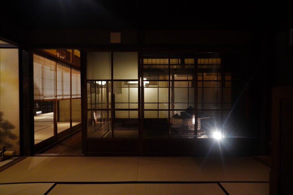 坪庭を眺める夜の京町家