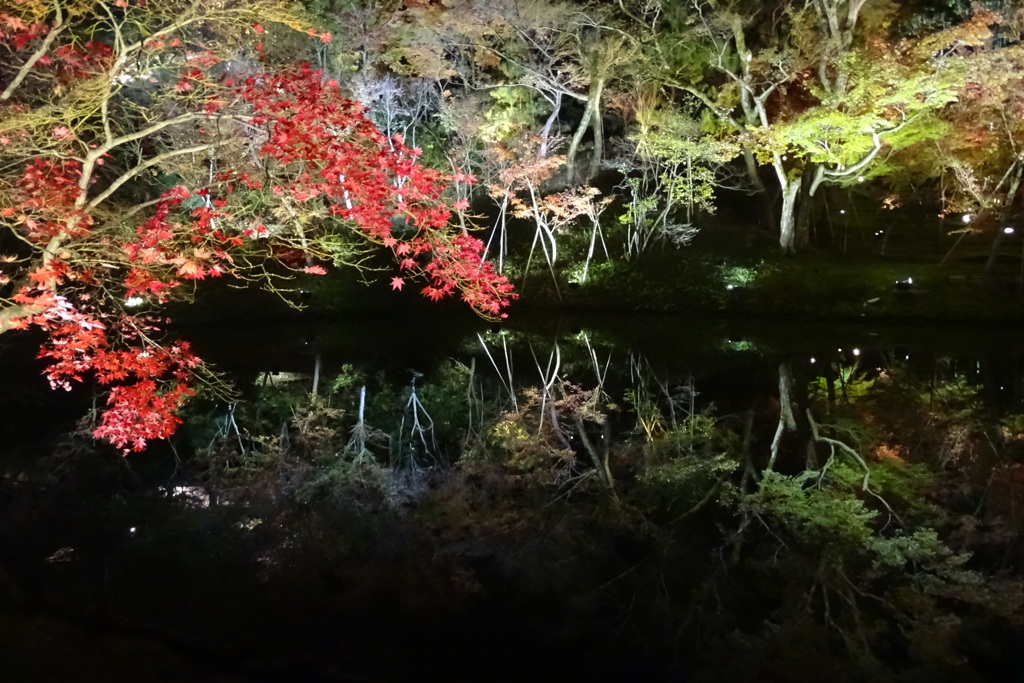 臥龍池から古へ