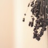 dry lavender