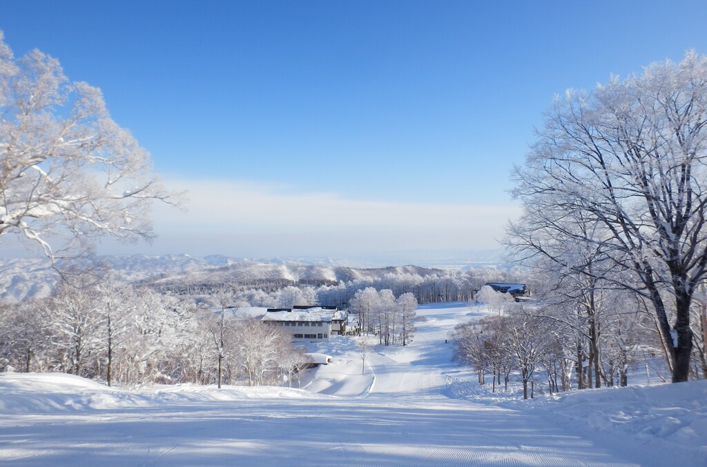 圧雪したてを滑る瞬間