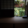 京都 お茶室から