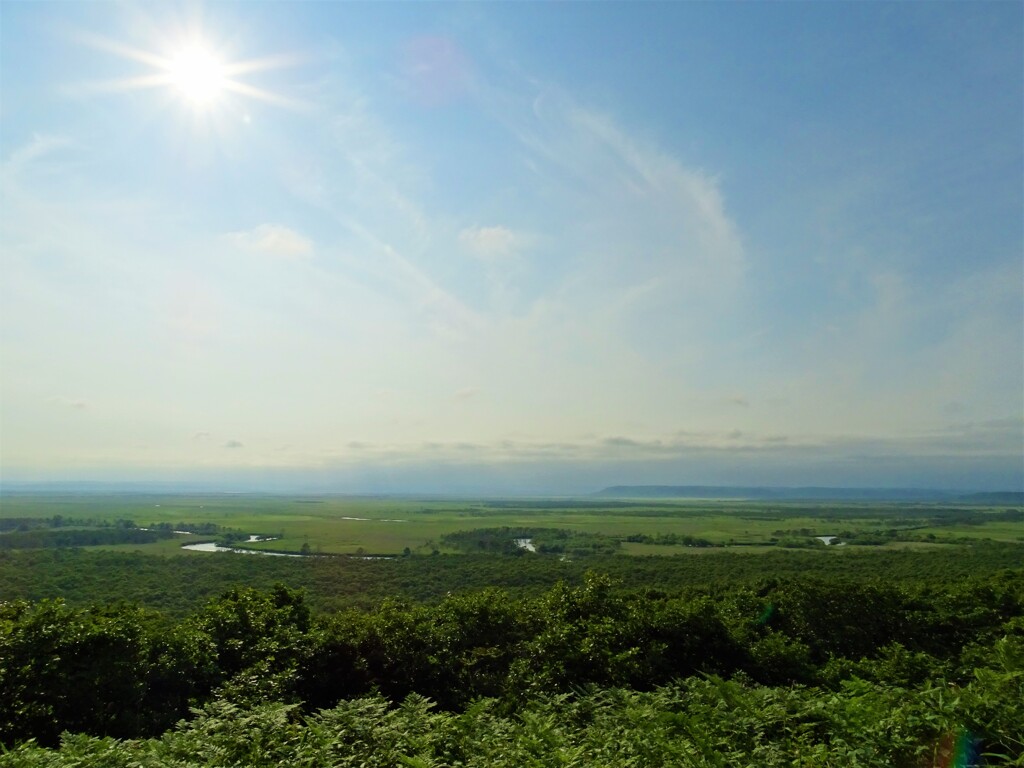 釧路湿原