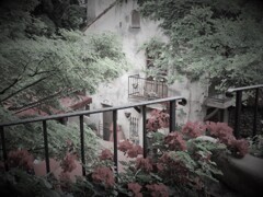 from terrace 2