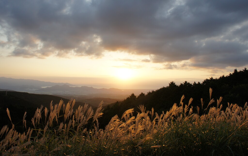 autumn wind