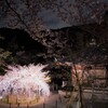 東山と夜桜