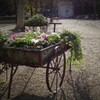 花車の公園
