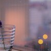雨の名残り