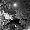 京の塔と月