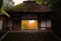 あの先へ広がる癒し空間