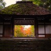 あの先へ広がる癒し空間