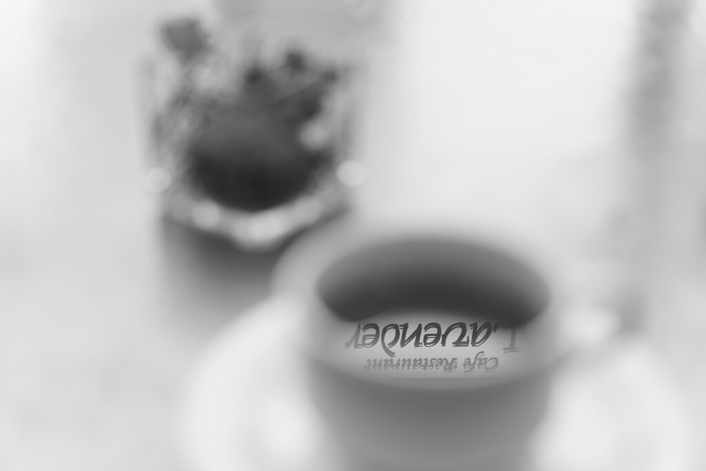 monochrome reflection