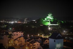 宵の掛川城