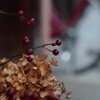 西陣 dry flower