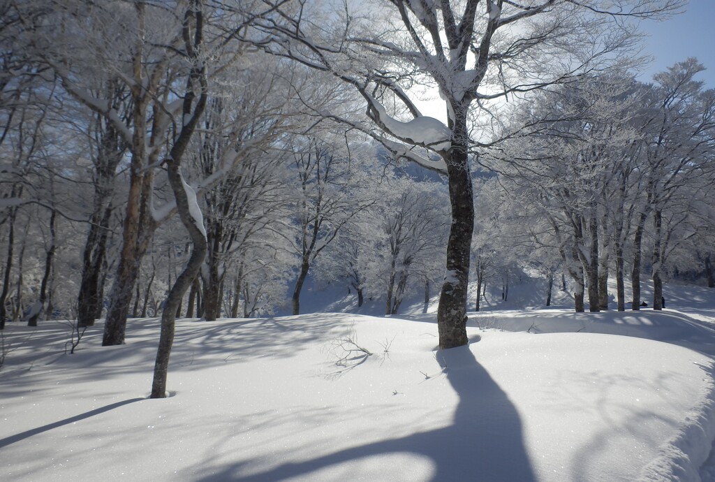 穏やかな雪と光り