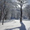 穏やかな雪と光り