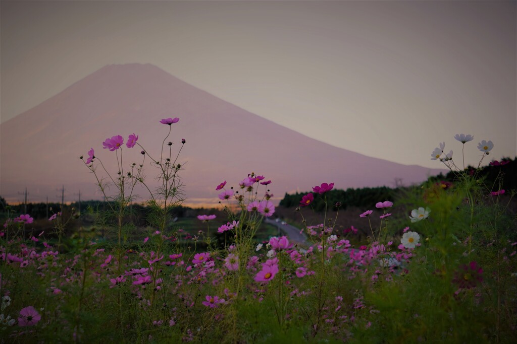 ハンドル握ってどこまでも