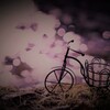 踵を返して帰ろう