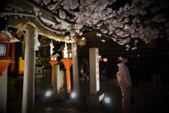 今宵の録画 陰翳礼讃