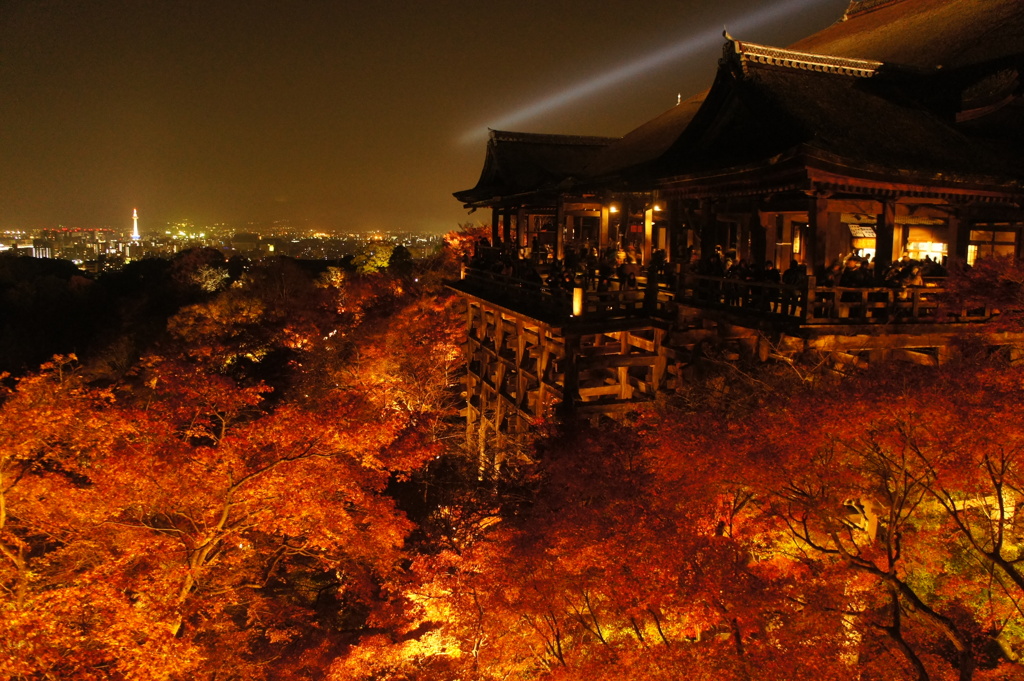 錦秋の夜長