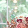 薄紅のアナベル