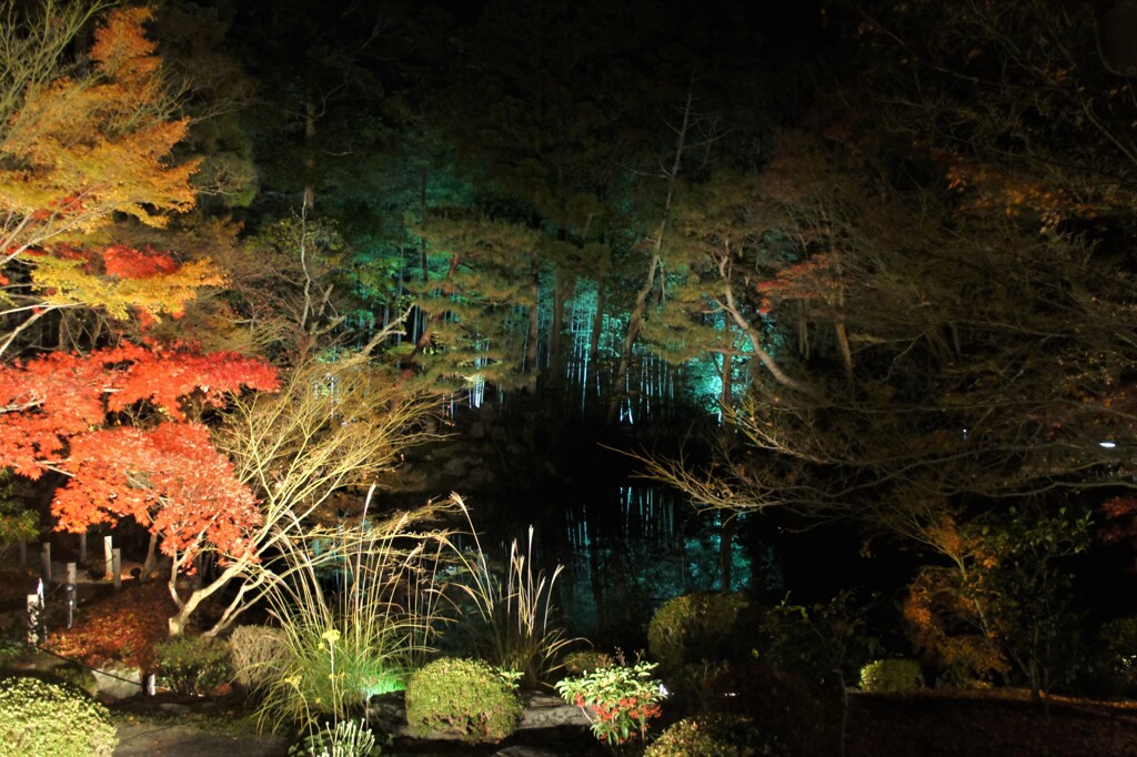 池の幻想