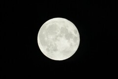 窓ガラス越しの満月