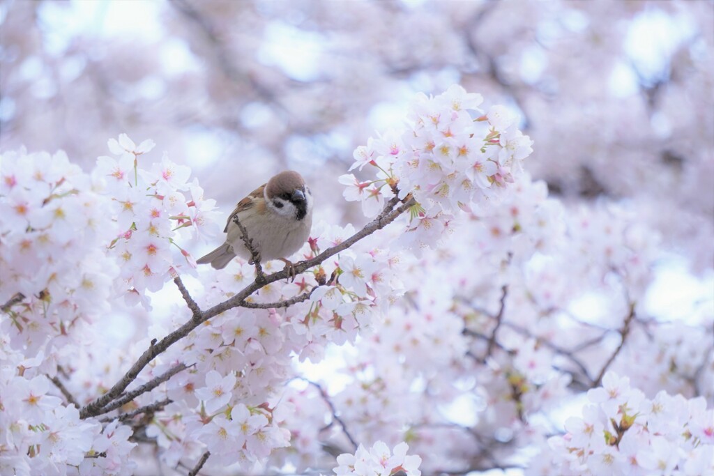 多幸感に包まれる