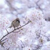 多幸感に包まれる