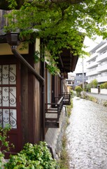 川沿いの古民家と若もみじ