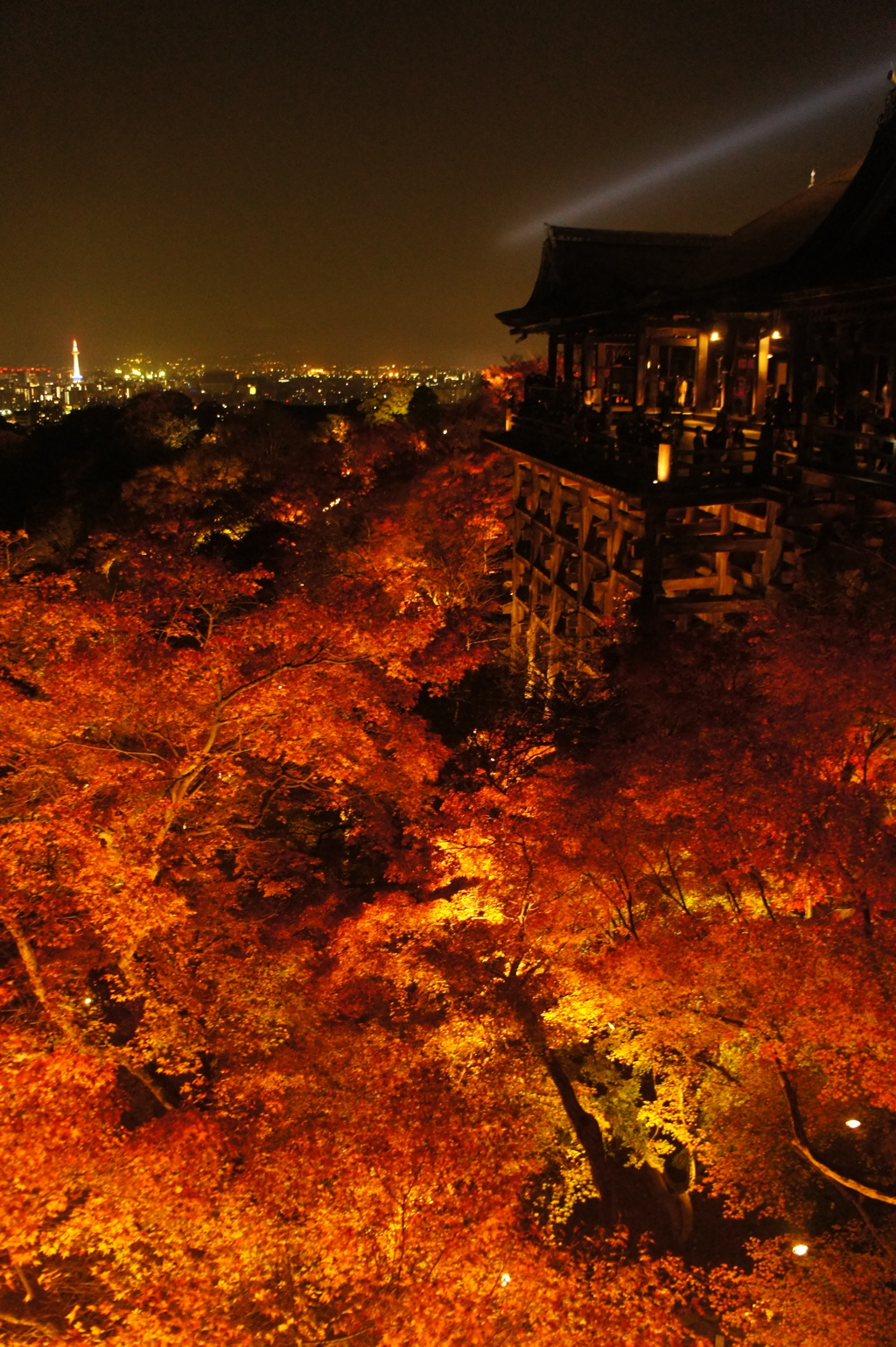 ひんやり夜　燃ゆる如くの　東山