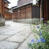 石塀小路