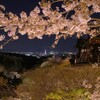 白い蝋燭を望む