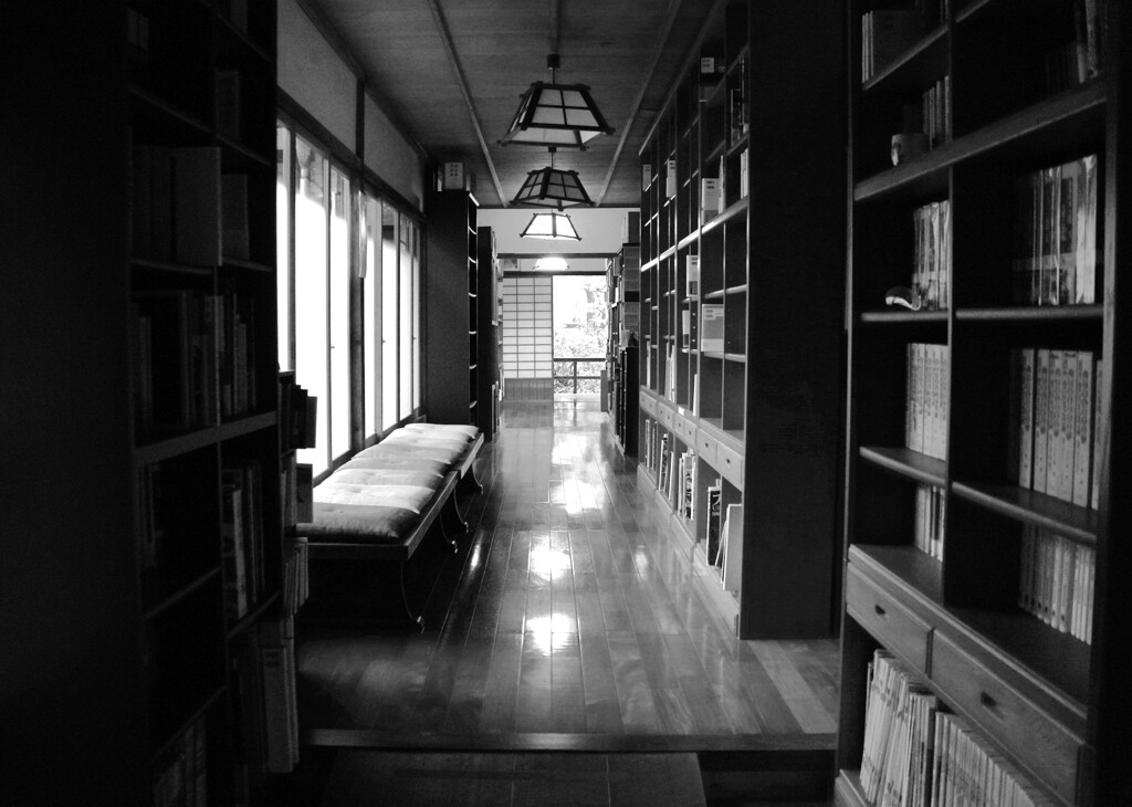 背に陽を受けて読書