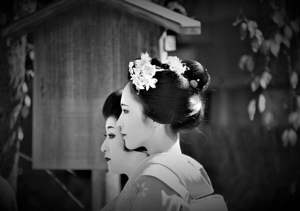 祇園の華 ～横顔～