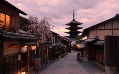 夕闇に紛れる桜と法観寺