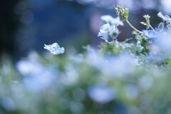 心ほぐれる時間
