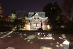 夜の枯山水